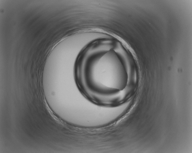X0000085230905200703091148