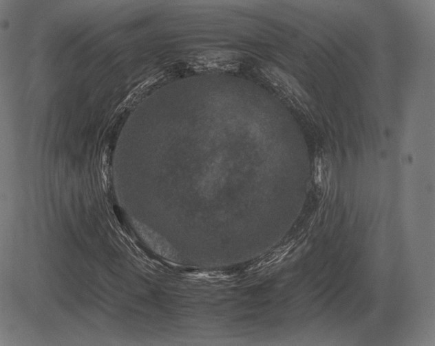 X0000085230915200703091147