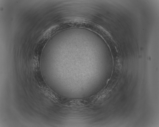 X0000085230918200703091147