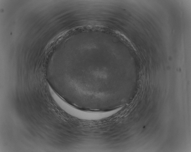 X0000085230919200703091147