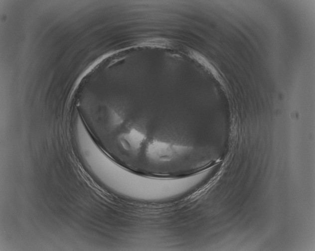 X0000085230923200703091147