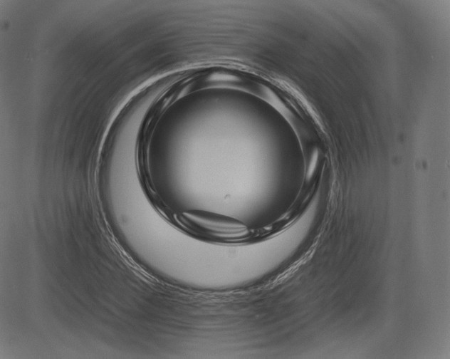 X0000085230924200703091147