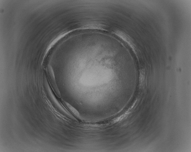 X0000085230925200703091147