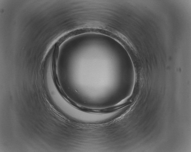 X0000085230926200703091147