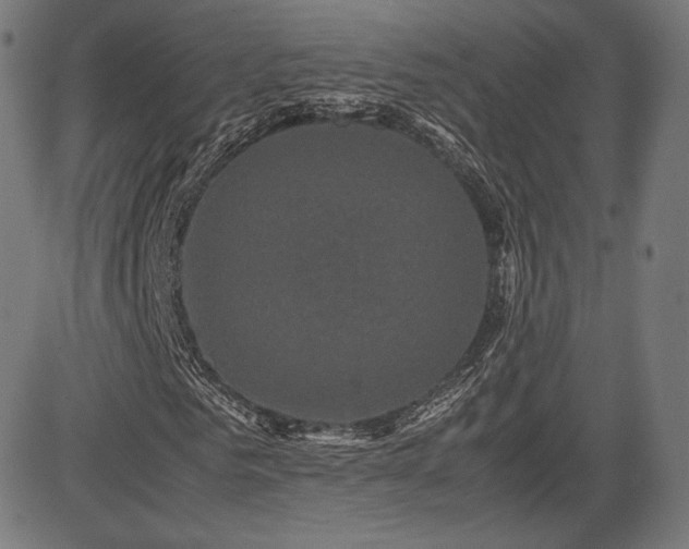 X0000085230961200703091147