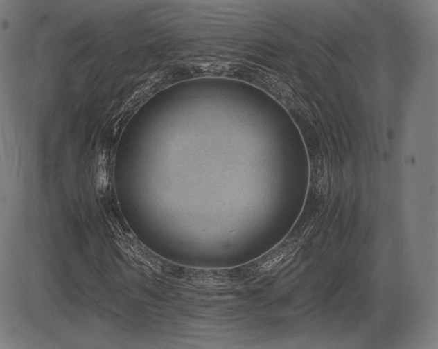 X0000085230962200703091147