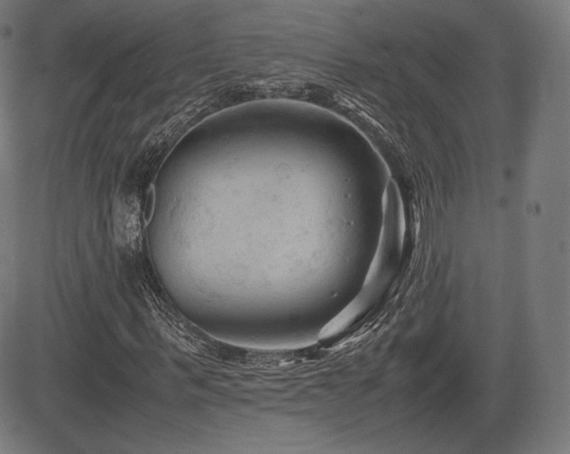 X0000085230963200703091147