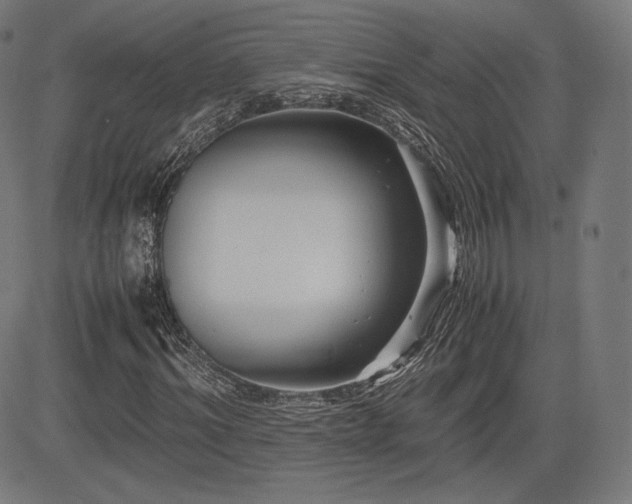 X0000085230964200703091147