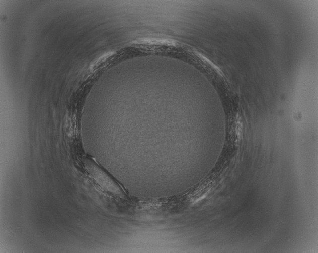 X0000085230965200703091147