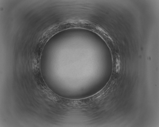 X0000085230966200703091147