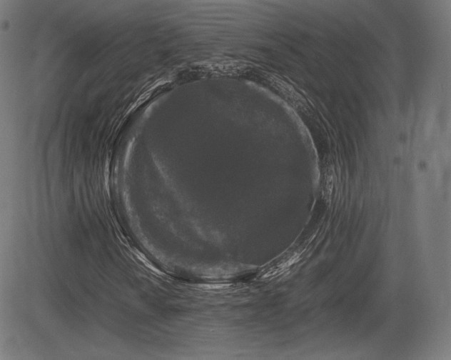 X0000085231010200703091145