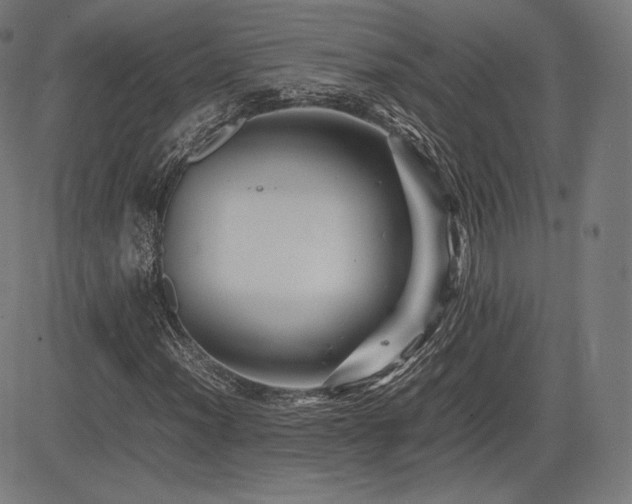 X0000085231012200703091145