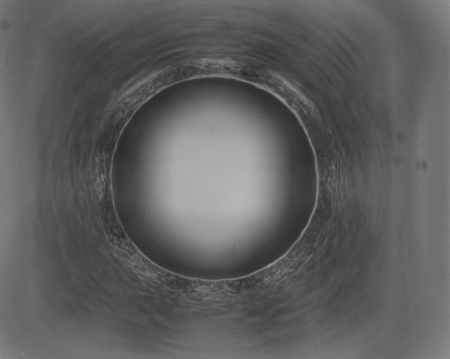 X0000085231015200703091145