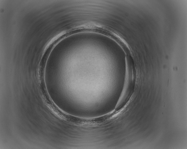 X0000085231026200703091146