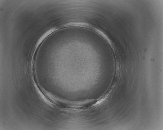 X0000085231050200703091146