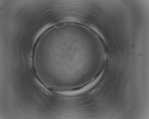 X0000085231068200703091145