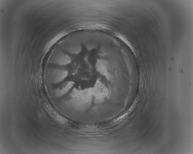 X0000085231071200703091145