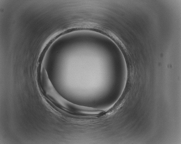 X0000085231085200703091145