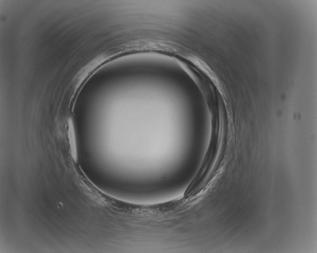 X0000085231089200703091145