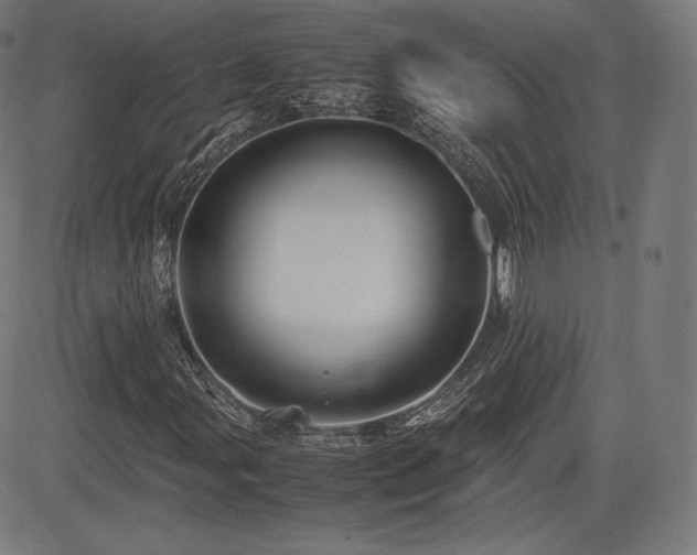 X0000085231107200703091144
