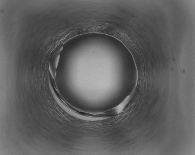 X0000085231109200703091144