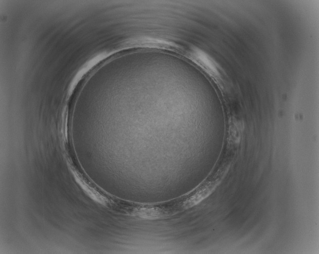 X0000085231128200703091144