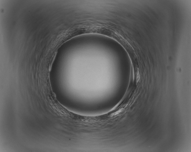 X0000085231153200703091144