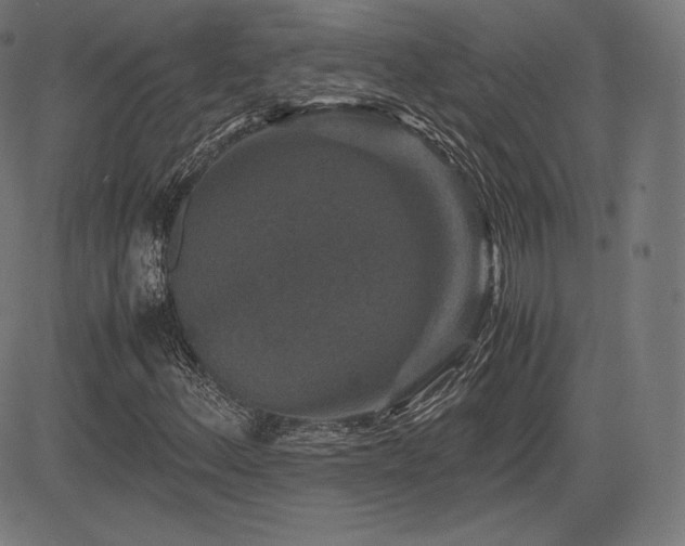 X0000085231156200703091144