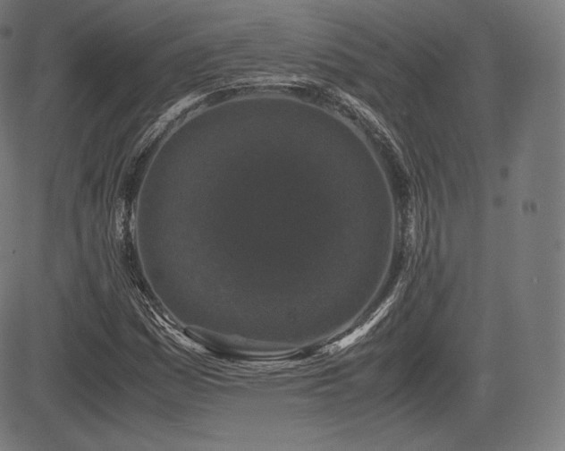 X0000085231161200703091144