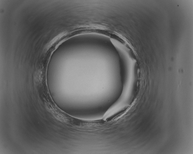 X0000085231163200703091144
