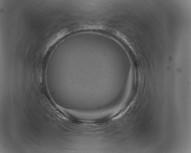X0000085231165200703091144