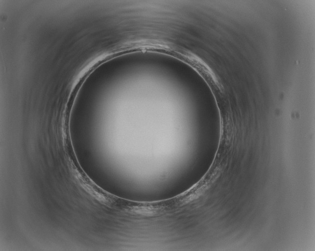 X0000085231182200703091143