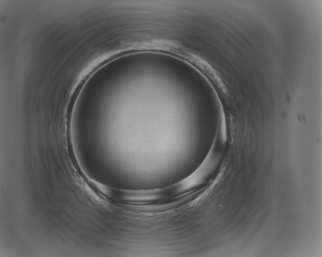 X0000085231184200703091143