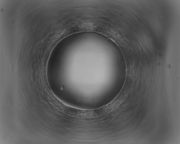 X0000085231201200703091142