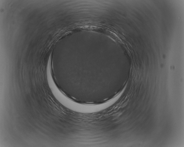 X0000085231202200703091142