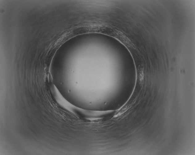 X0000085231204200703091142