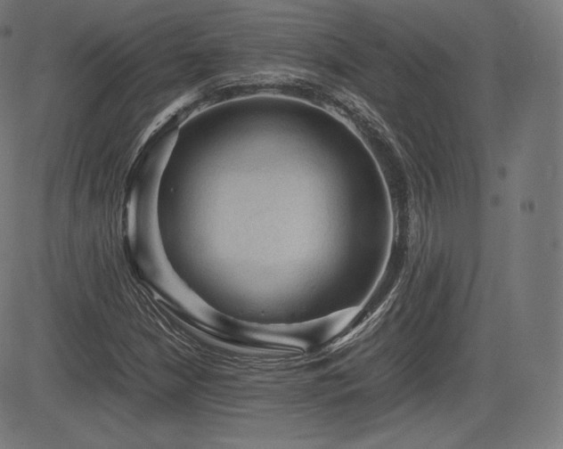 X0000085231210200703091142