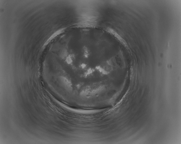 X0000085231213200703091142
