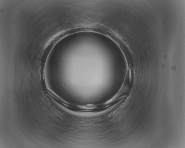 X0000085231214200703091142