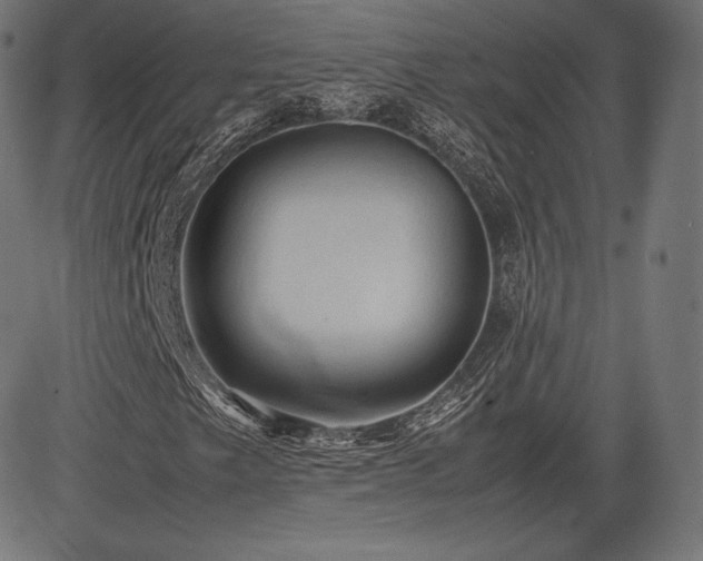 X0000085231249200703091142