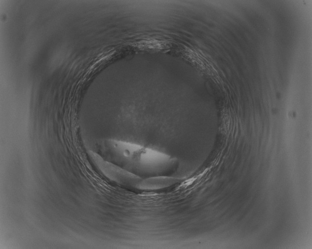 X0000085231297200703091141
