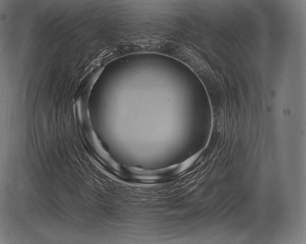 X0000085231298200703091141