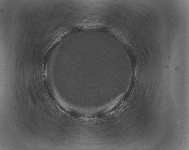 X0000085231300200703091141