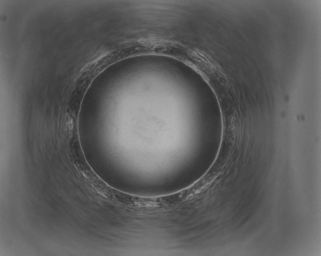 X0000085231302200703091141