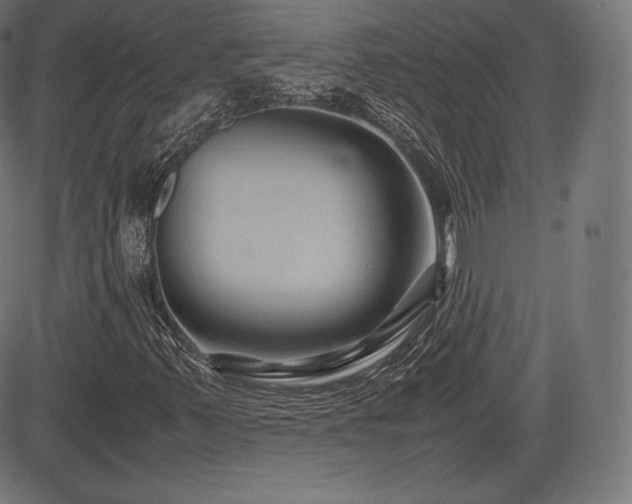 X0000085231347200703091140