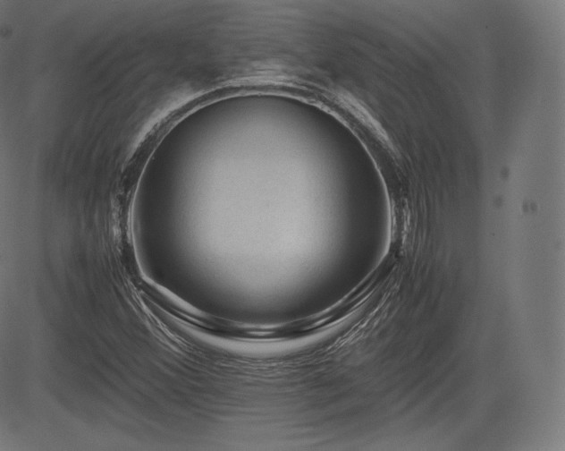 X0000085231356200703091140