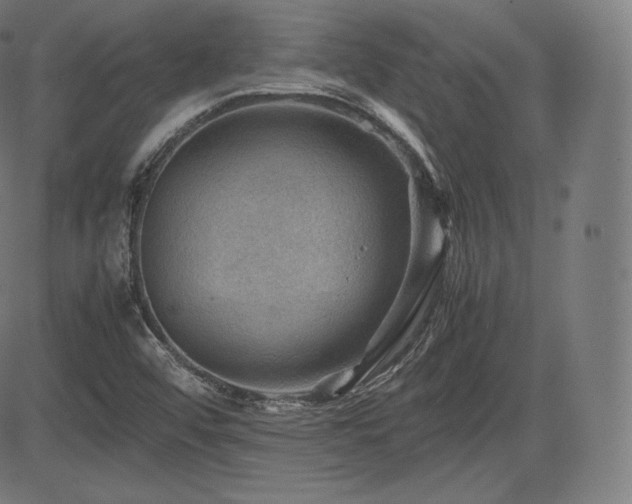 X0000085231456200703091139