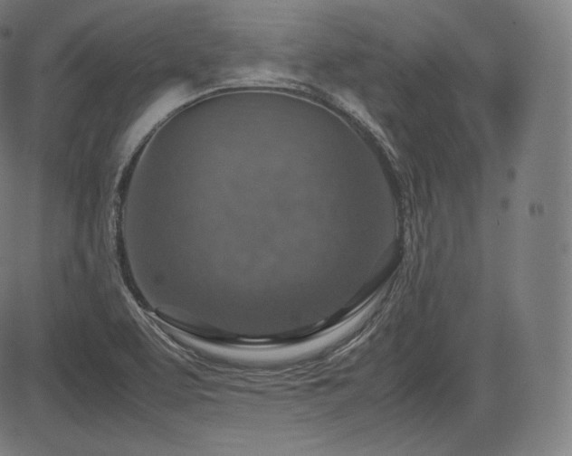 X0000085231463200703091139
