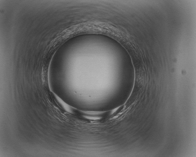 X0000085231490200703091137
