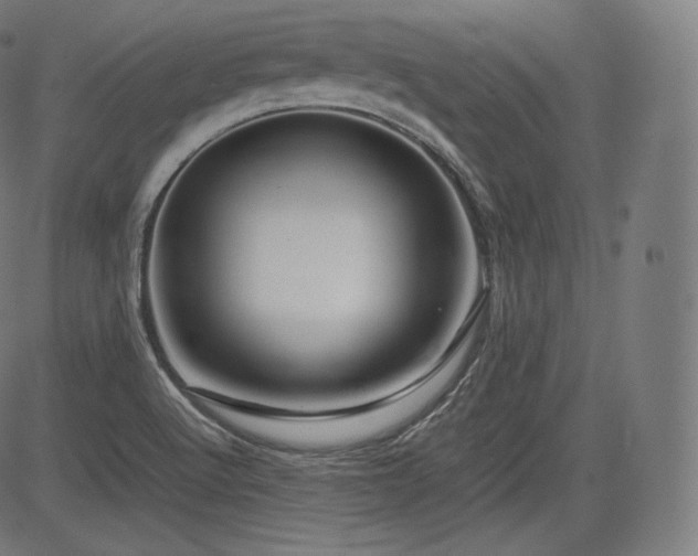 X0000085231512200703091138